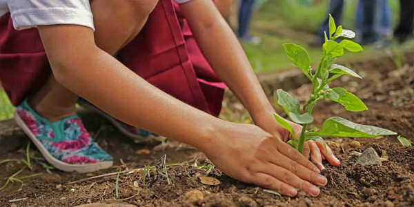 5 idées pour sensibiliser les enfants à l’écologie à l’école