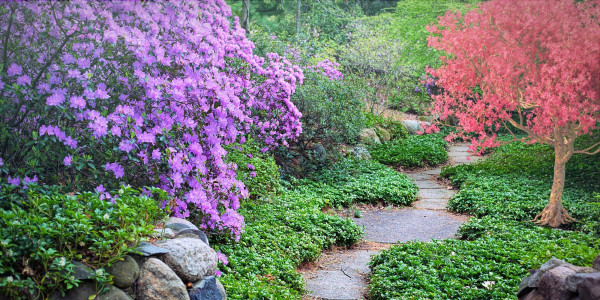 Nos plus beaux jardins botaniques