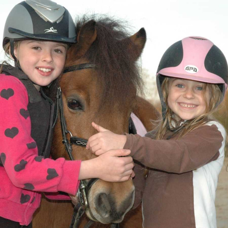 DOMAINE EQUESTRE DE CHEVILLON