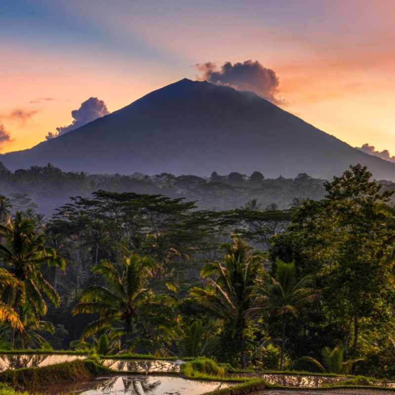 SHANTI TRAVEL & TIERRA LATINA