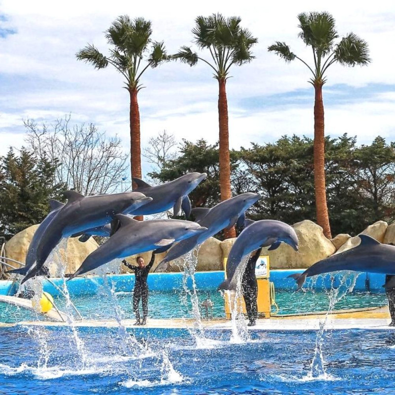 MARINELAND ANTIBES