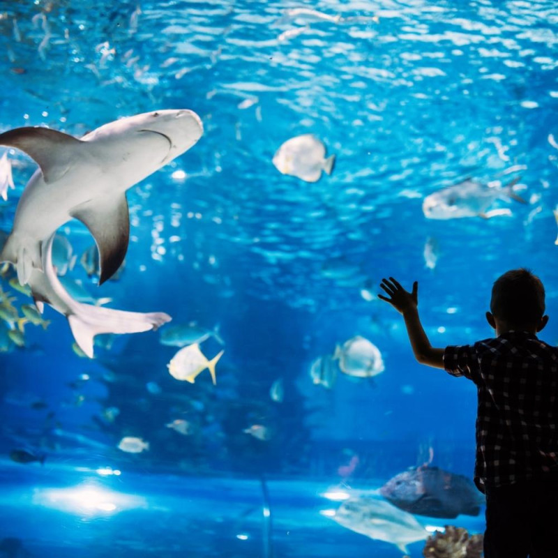 OCEANOPOLIS DE BREST