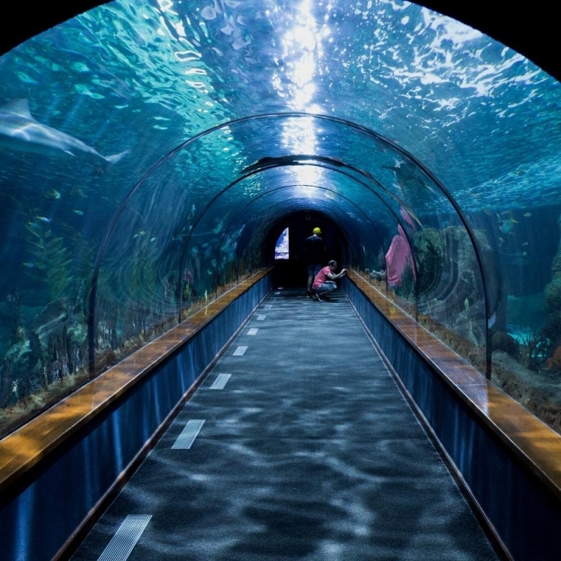 OCEARIUM DU CROISIC