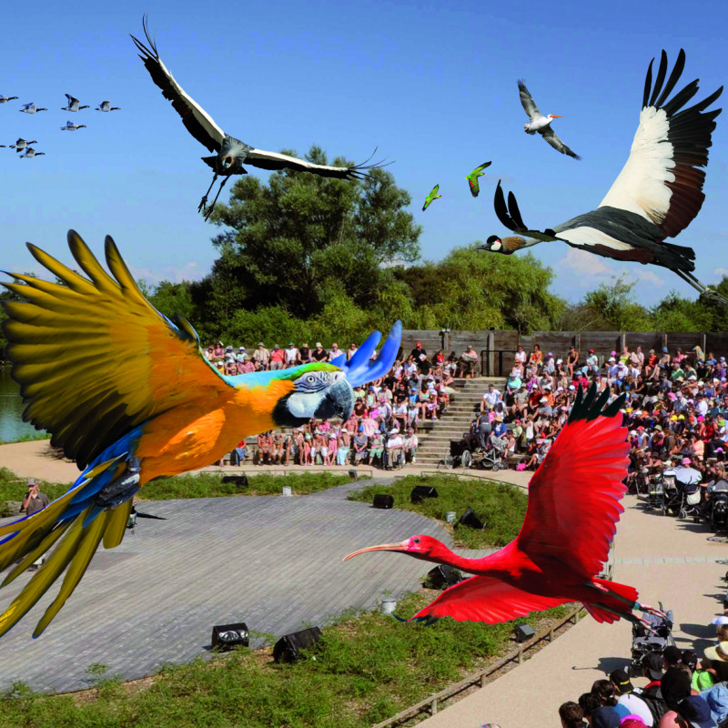 PARC DES OISEAUX