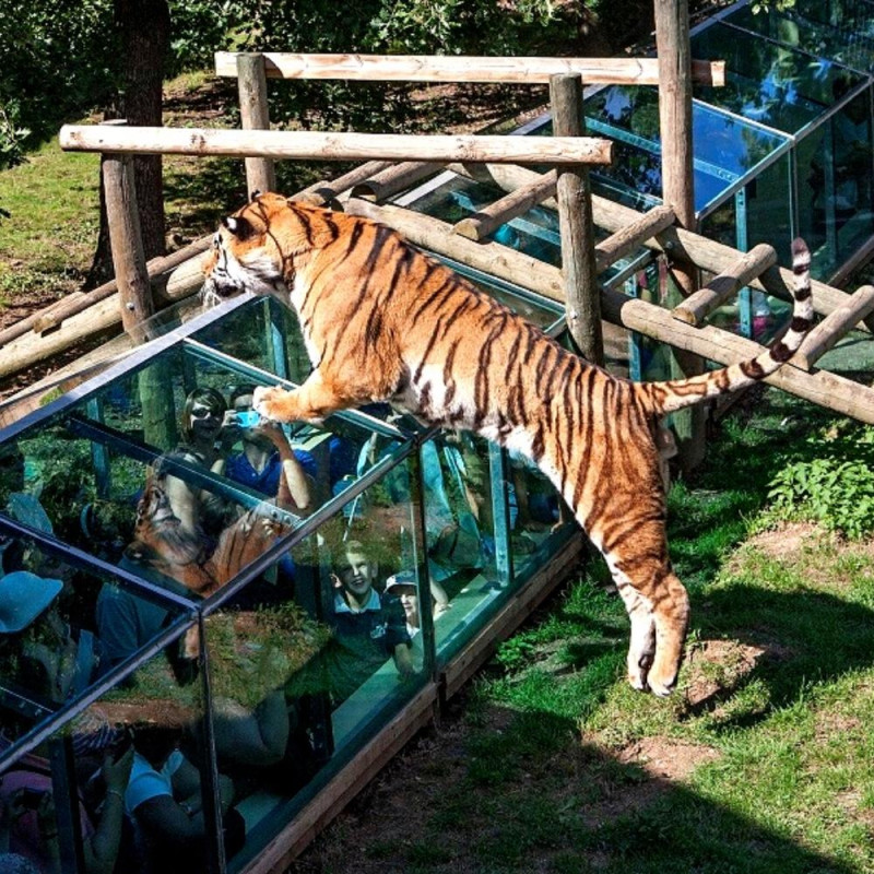 SAFARI DE PEAUGRES
