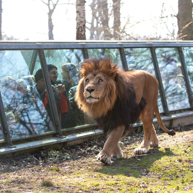 ZOOSAFARI DE THOIRY