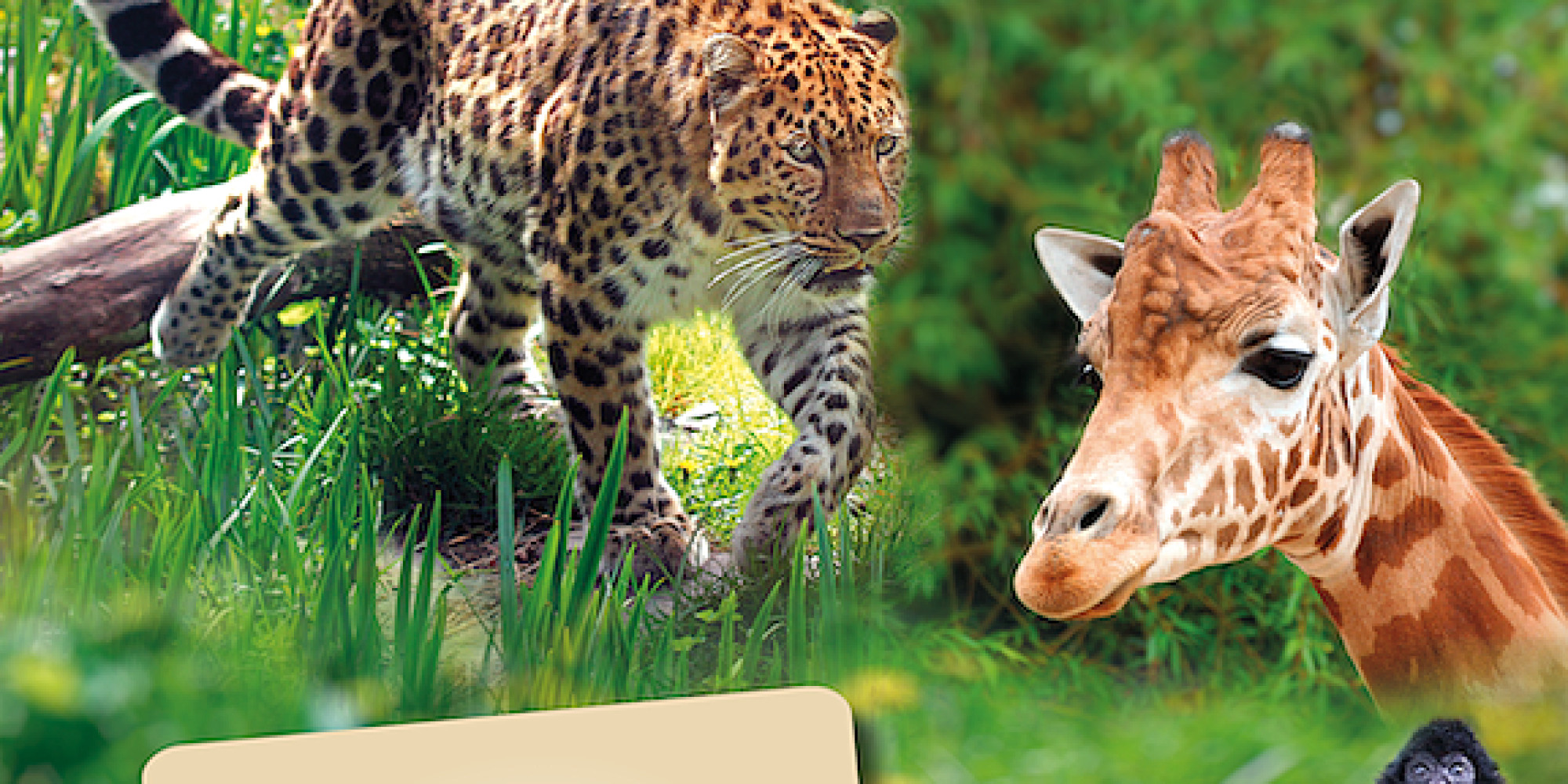 Zoo des Sables d'Olonne  enseignant