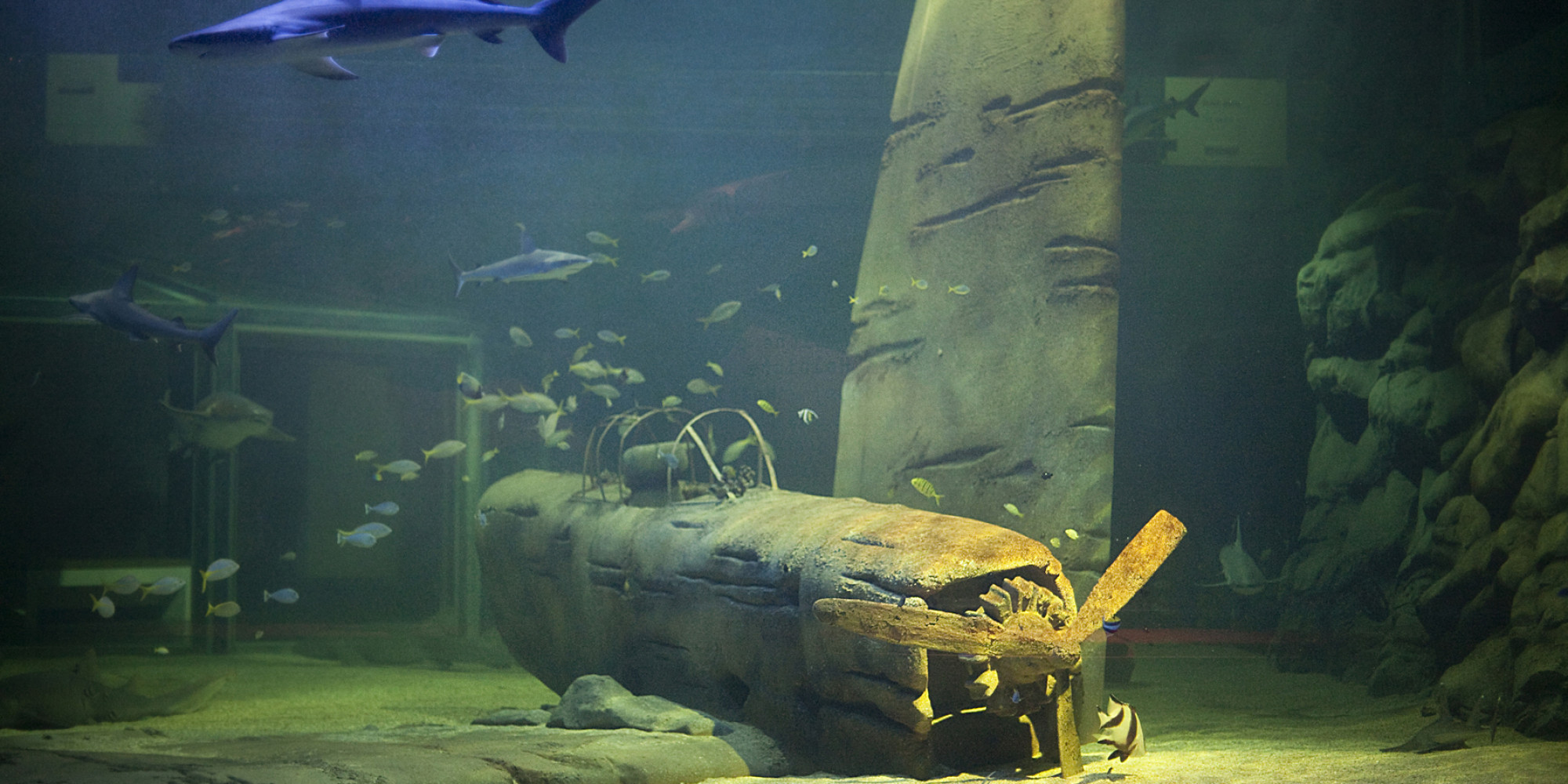 Seaquarium Le Grau du Roi  enseignant