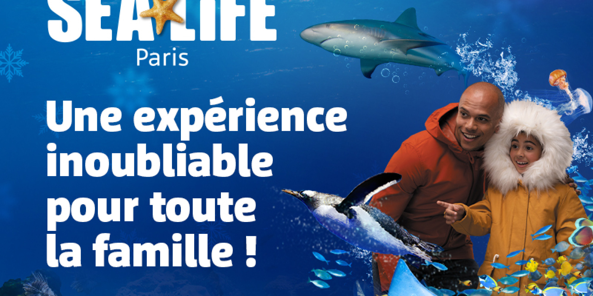 Aquarium Sealife  enseignant