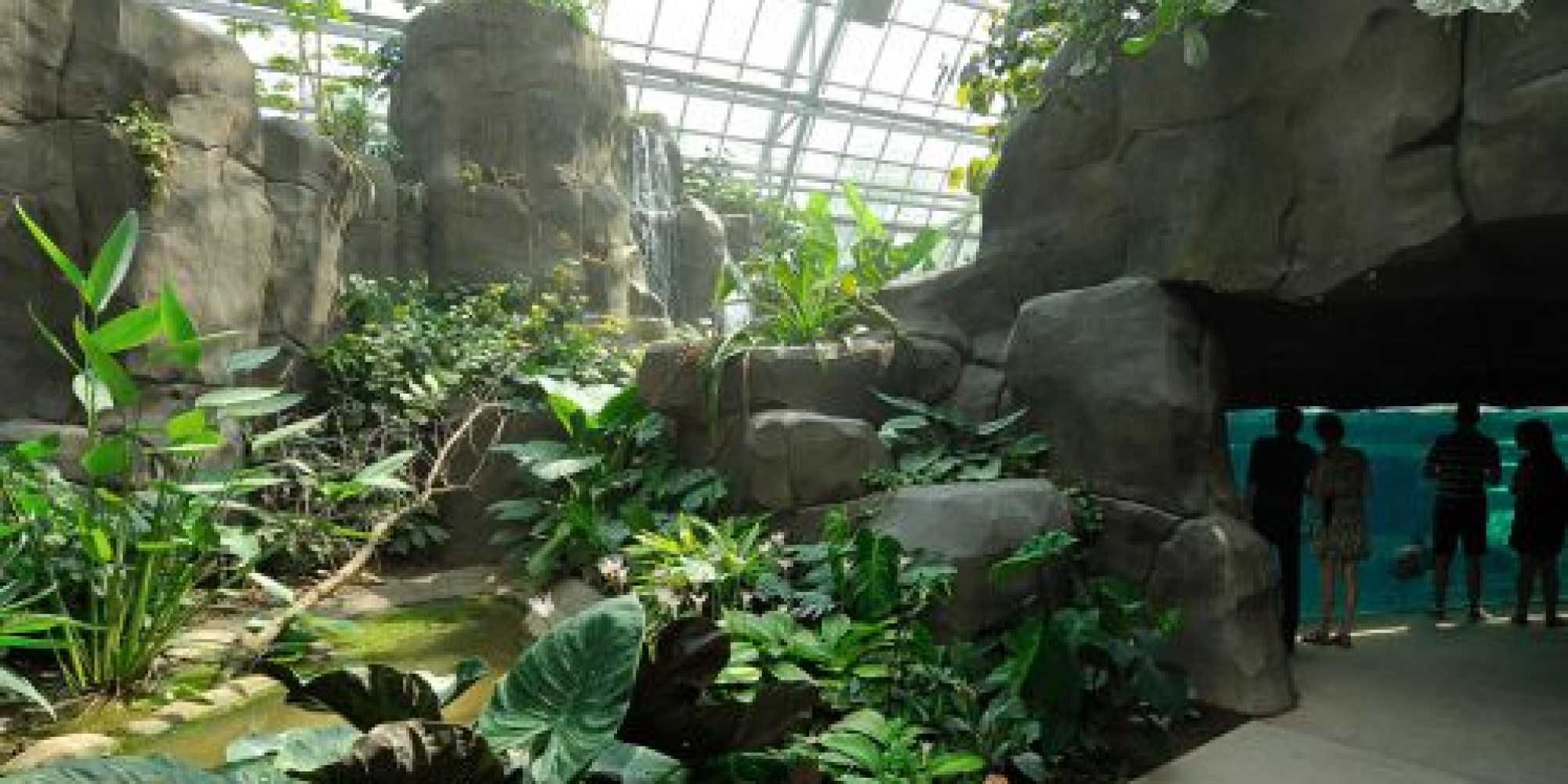 Parc zoologique de Paris  enseignant