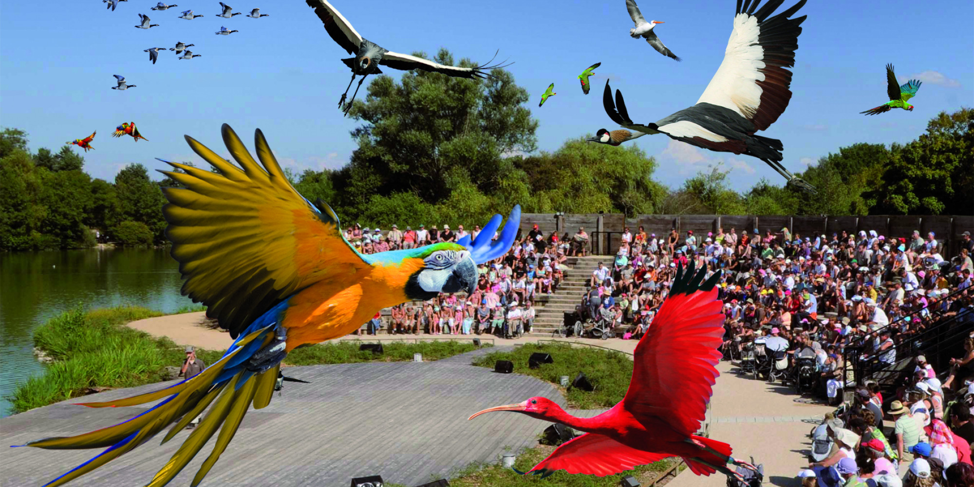 Parc des Oiseaux  enseignant
