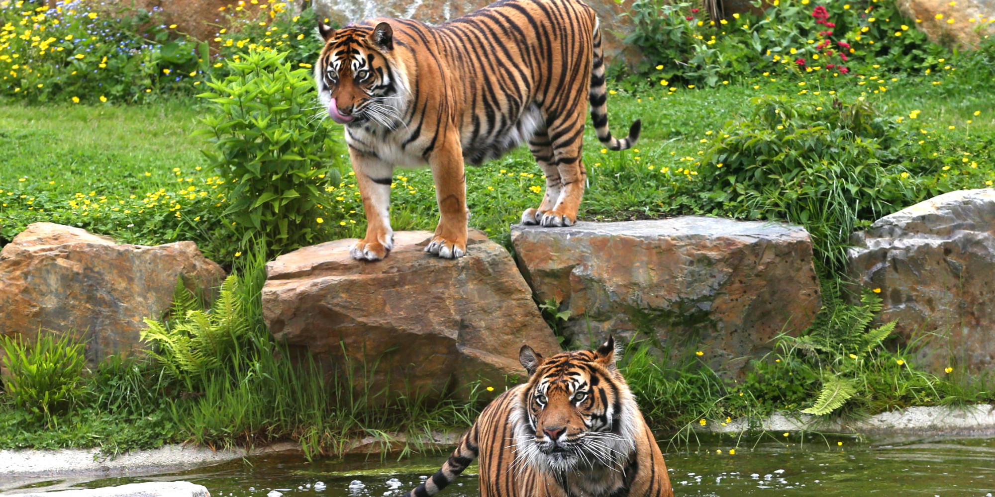 Parc animalier de Champrepus  enseignant
