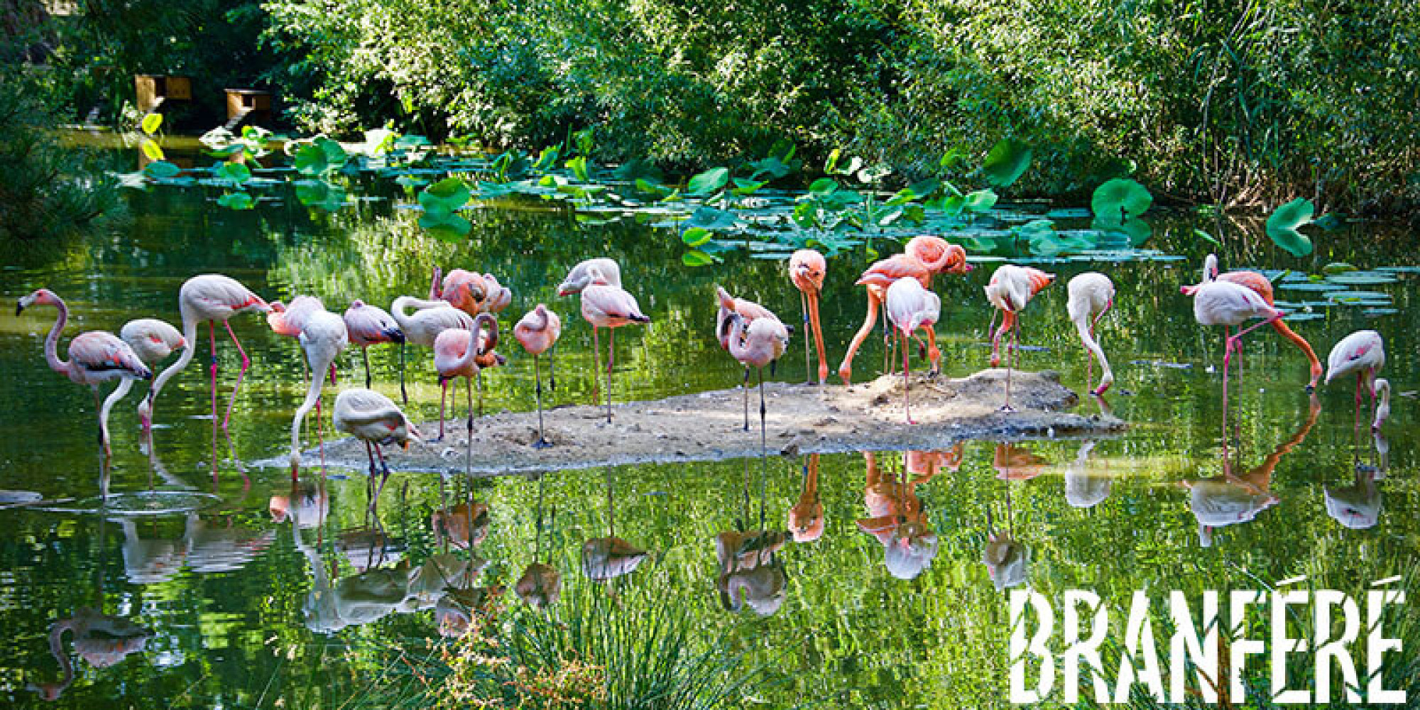 Parc animalier, botanique et parcabout de Branféré  enseignant