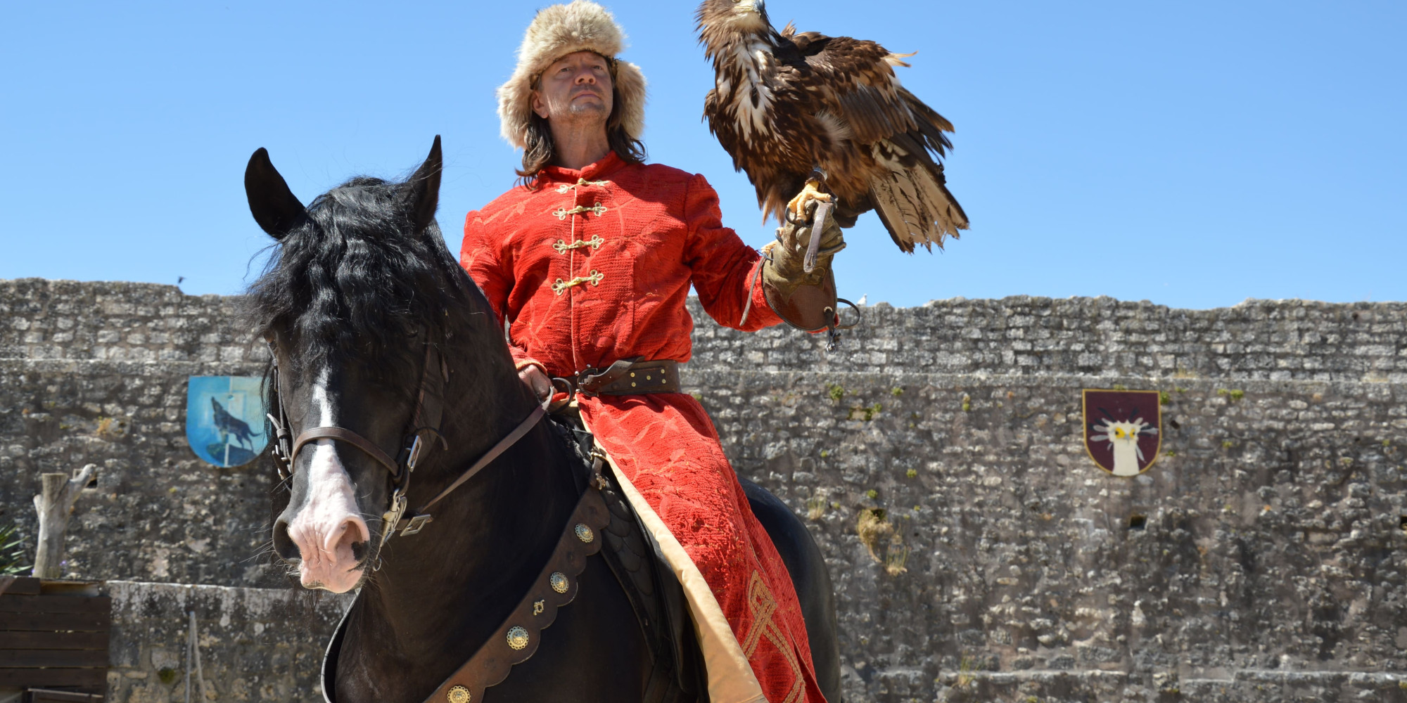 Provins - Les Aigles des Remparts  enseignant