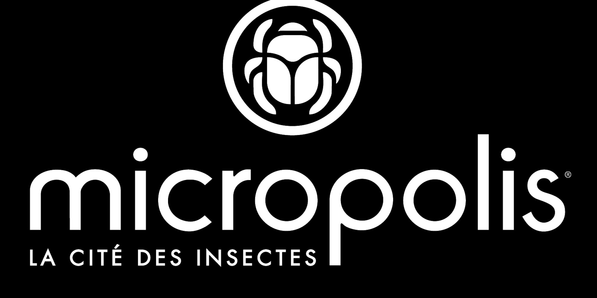 Micropolis  enseignant