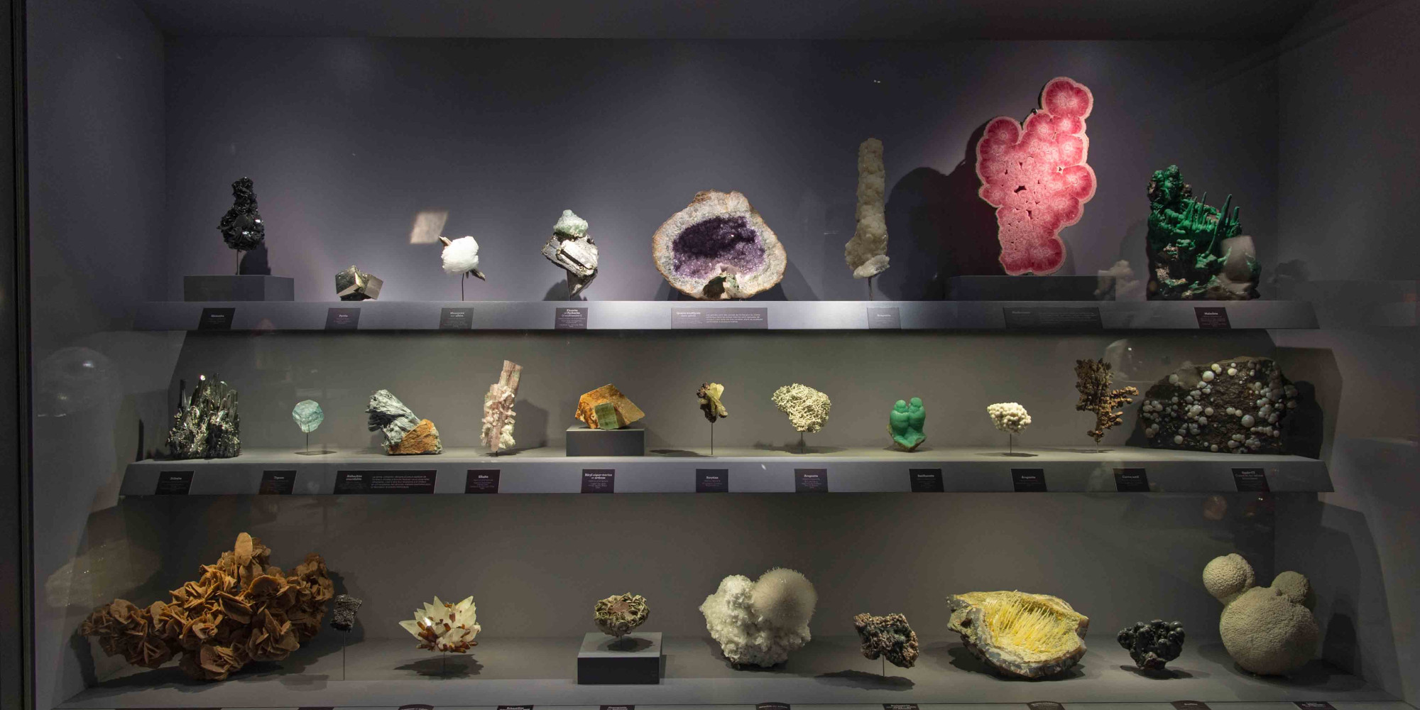 Galerie de minéralogie et de géologie  enseignant