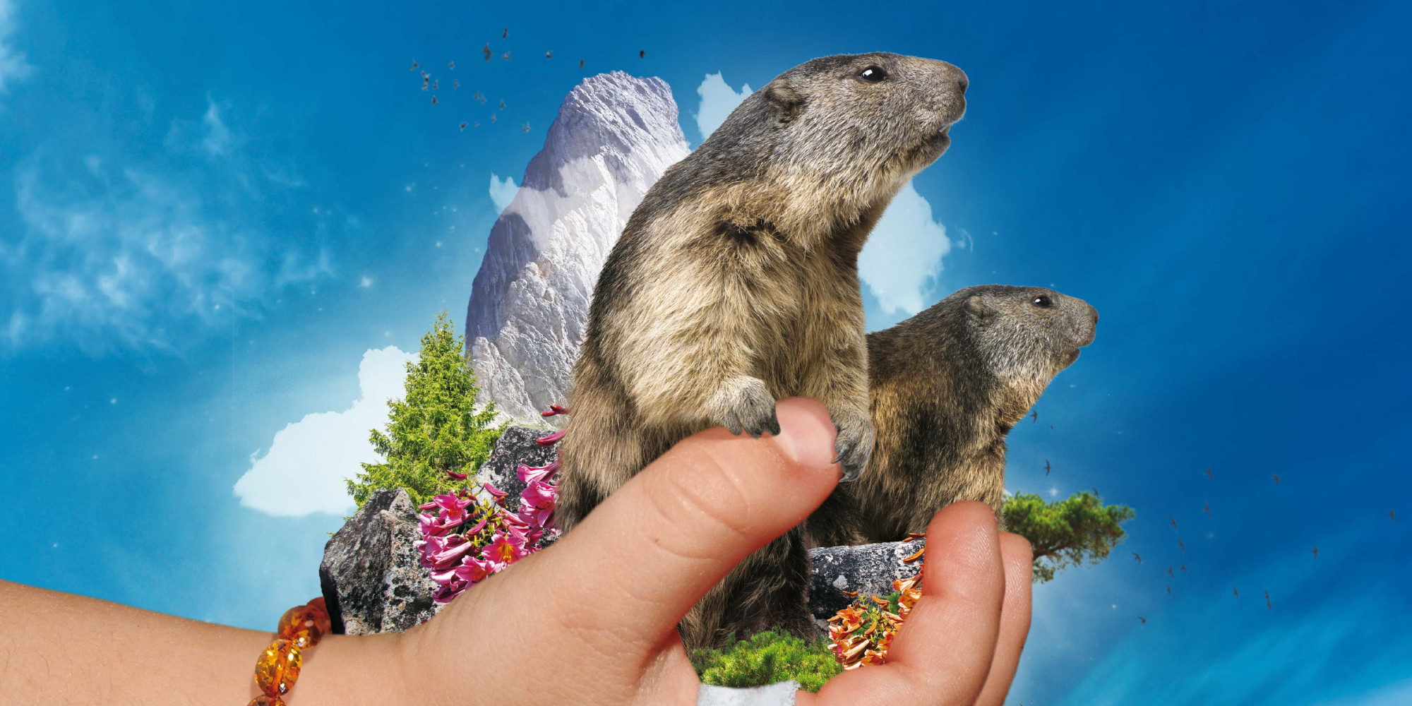 Parc Animalier des Pyrénées  enseignant