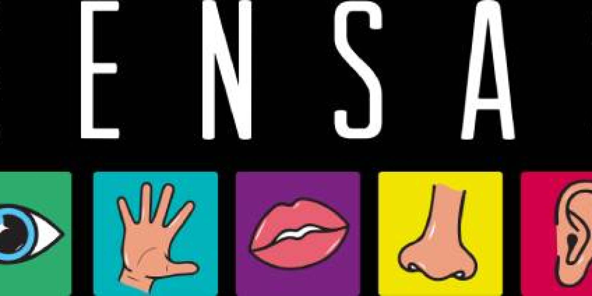 Sensas Poitiers  enseignant