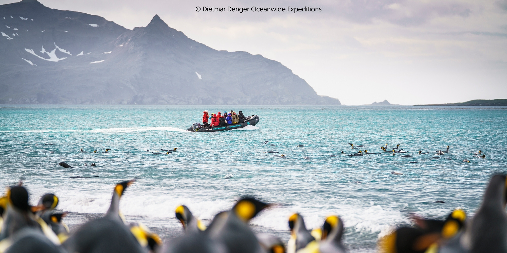 Croisière expédition Antarctique pour enseignants