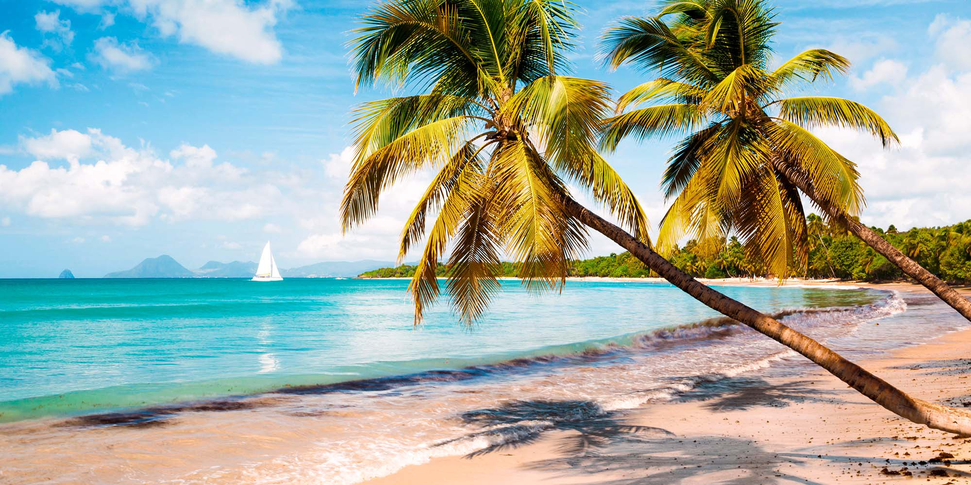 Évadez-vous sous le soleil des Antilles ! enseignant