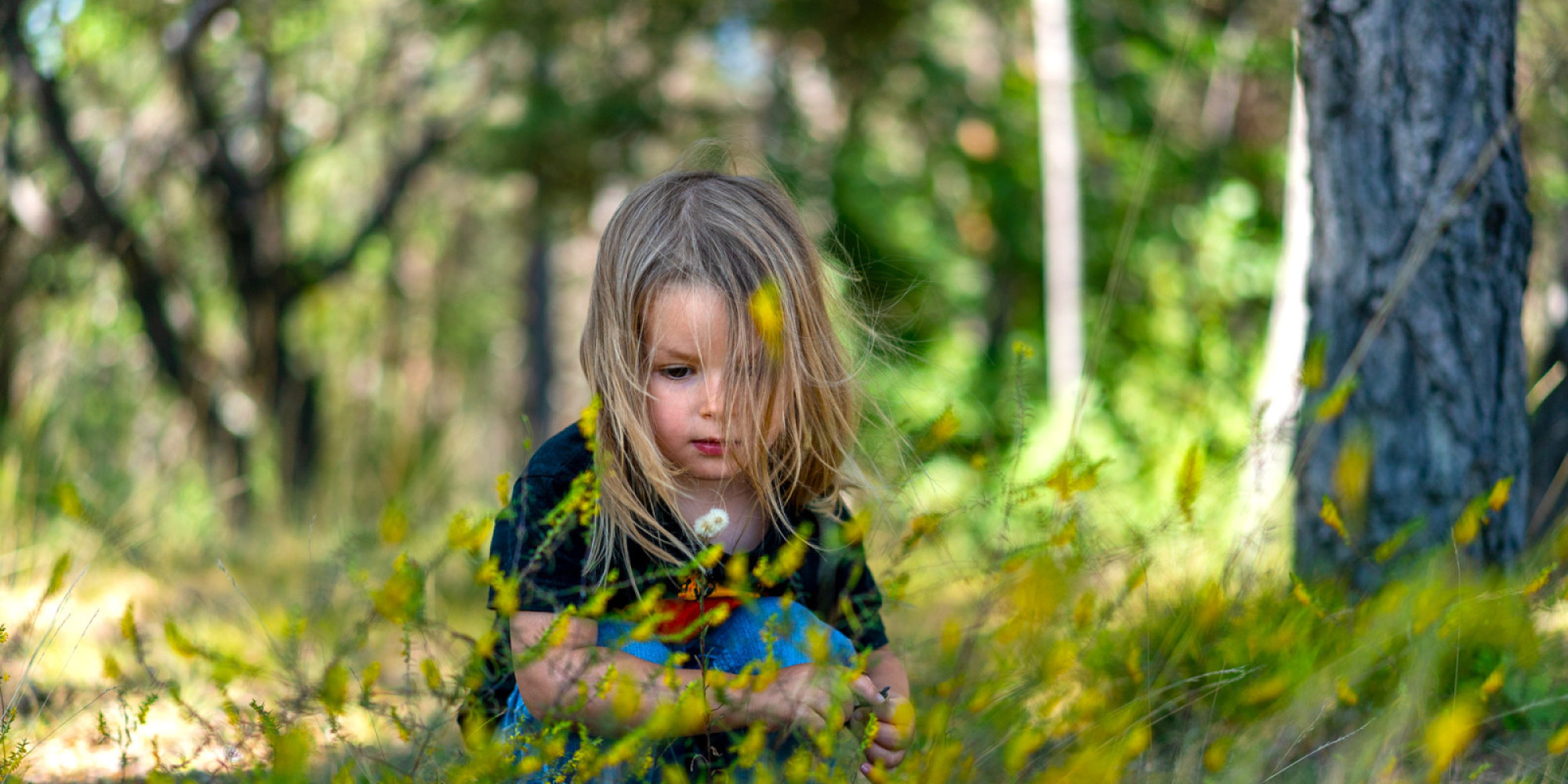 Le printemps est enfin là ! enseignant