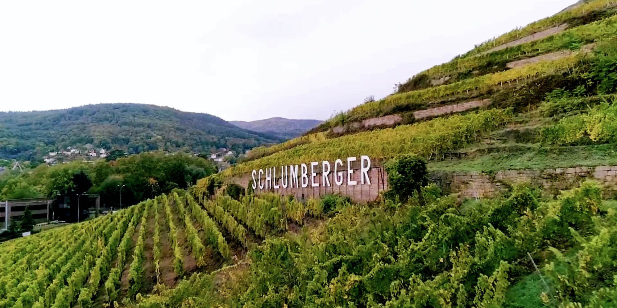 L'Excellence des Grands Crus d'Alsace enseignant