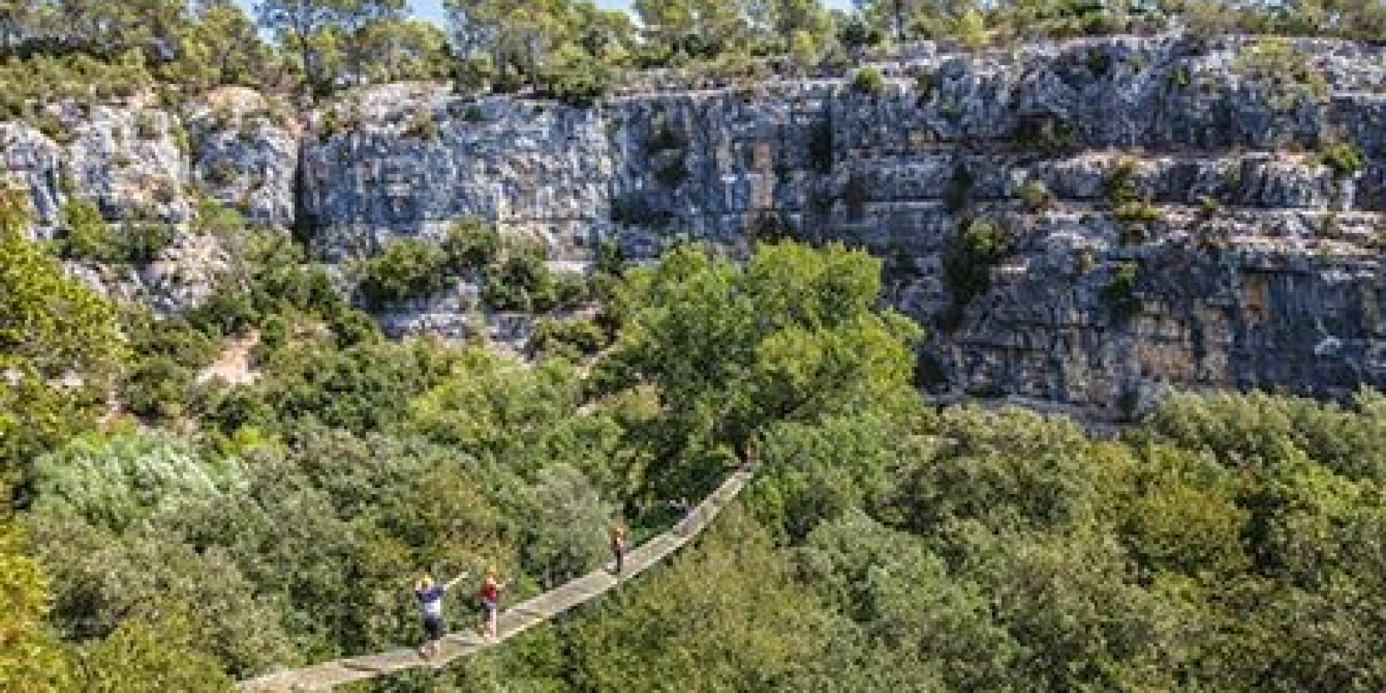 Canyon Forest  enseignant