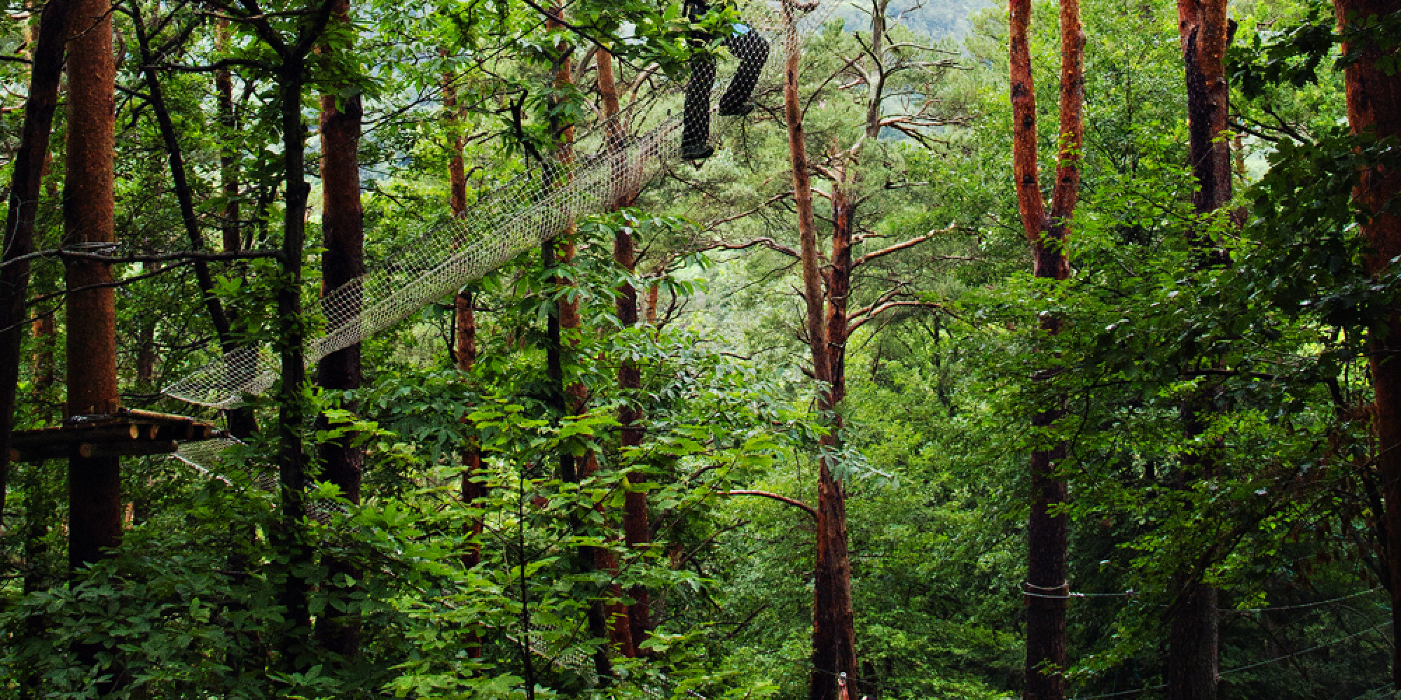 Parc Ecureuil  enseignant