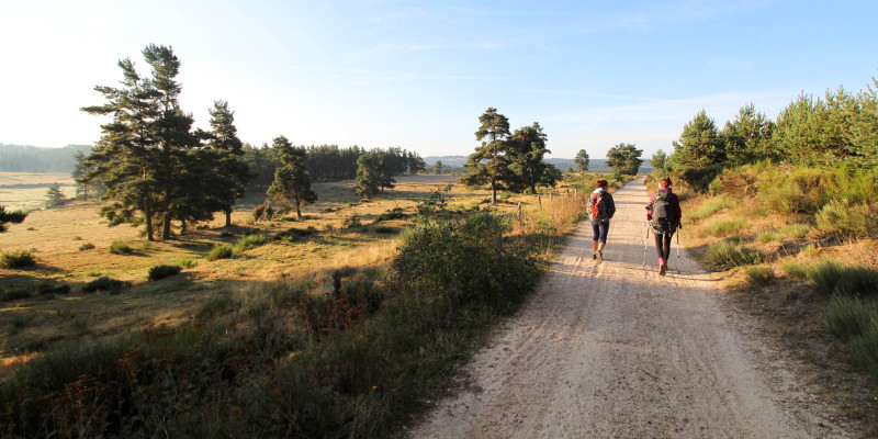 Bon voyage sur les chemins pour enseignants