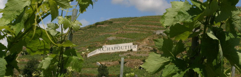 L'univers des vins d'exception pour enseignants