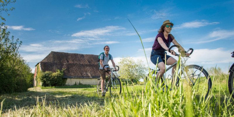 Agence de voyages spécialisés pour enseignants