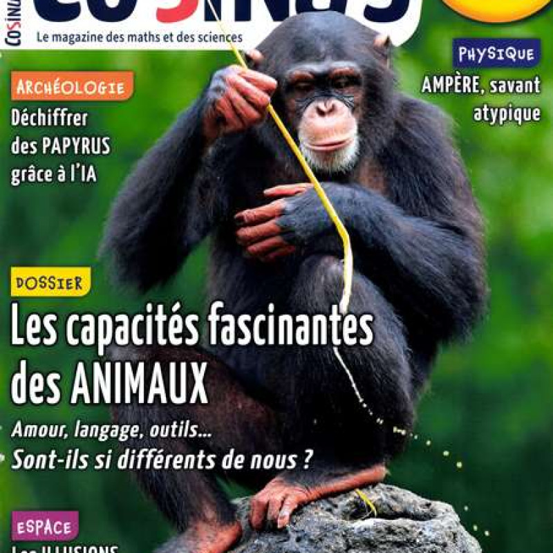 COSINUS 