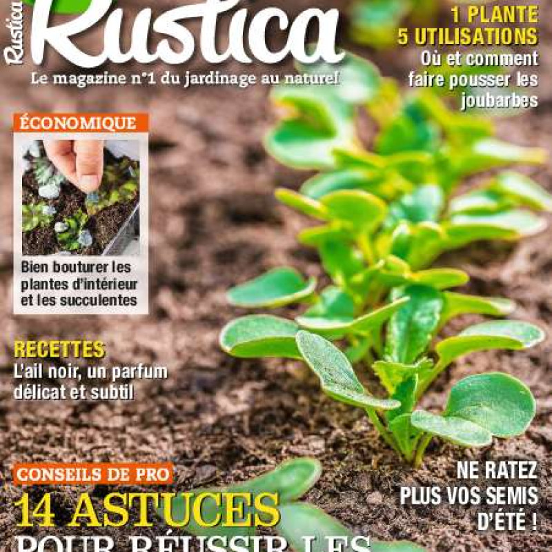 RUSTICA 