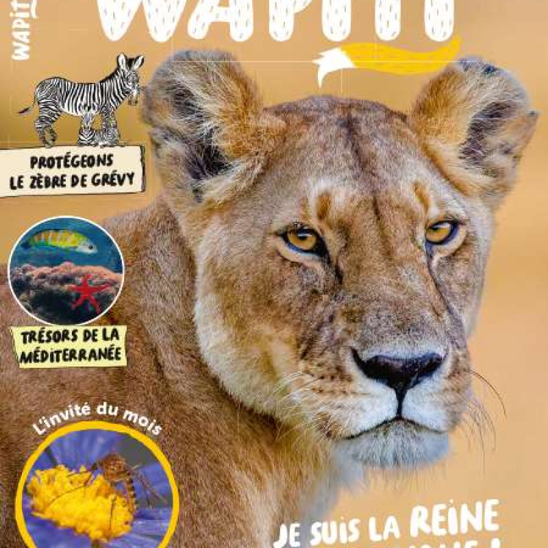 WAPITI 