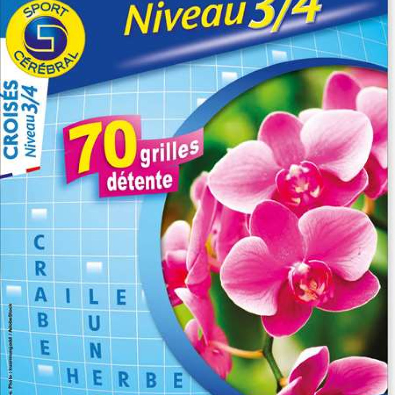 CROISES NIVEAU 3 4 GF 
