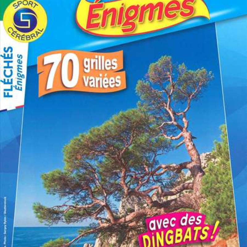 FLECHES ENIGMES 