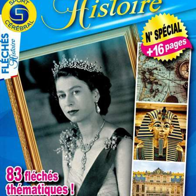 FLECHES HISTOIRE 