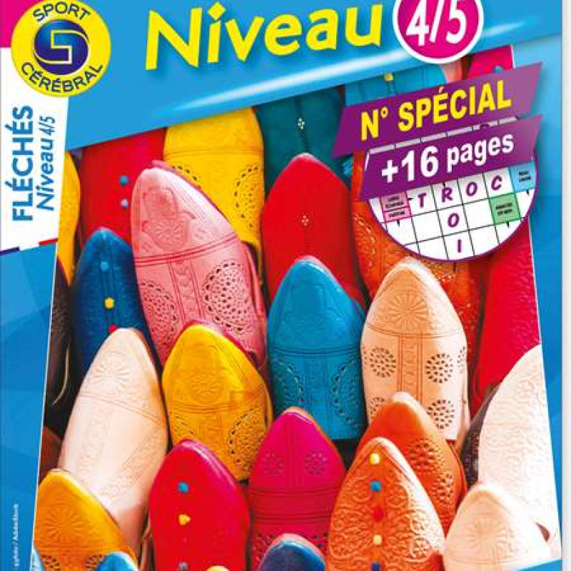 FLECHES NIVEAU 4 5 