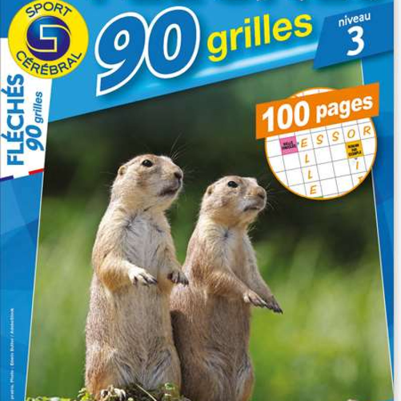 FLECHES 90 GRILLES NIVEAU 3 