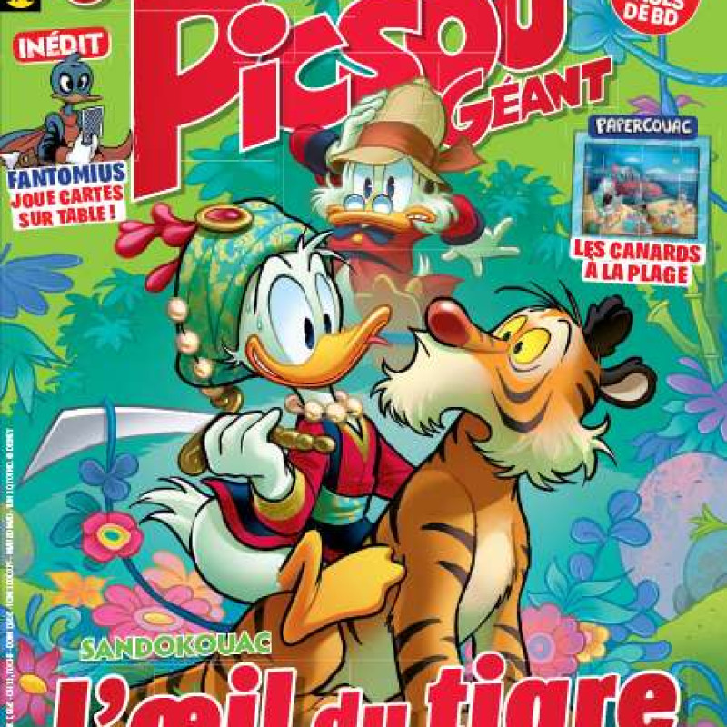 SUPER PICSOU GEANT 