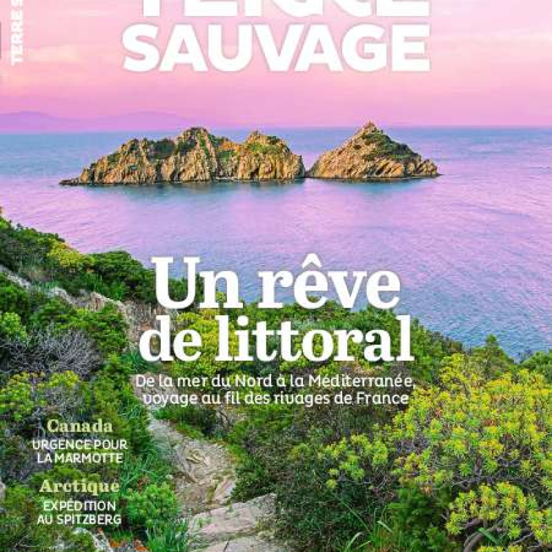 TERRE SAUVAGE 