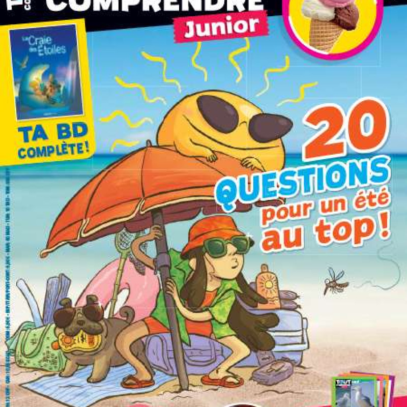 TOUT COMPRENDRE JUNIOR 