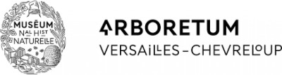 Logo AIR PÉGASUS MONTGOLFIÈRES